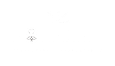 Image title
